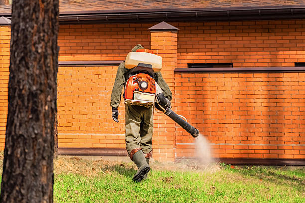Trusted Mosquito Control service in Hurlburt Field, FL - Nex Pest Control